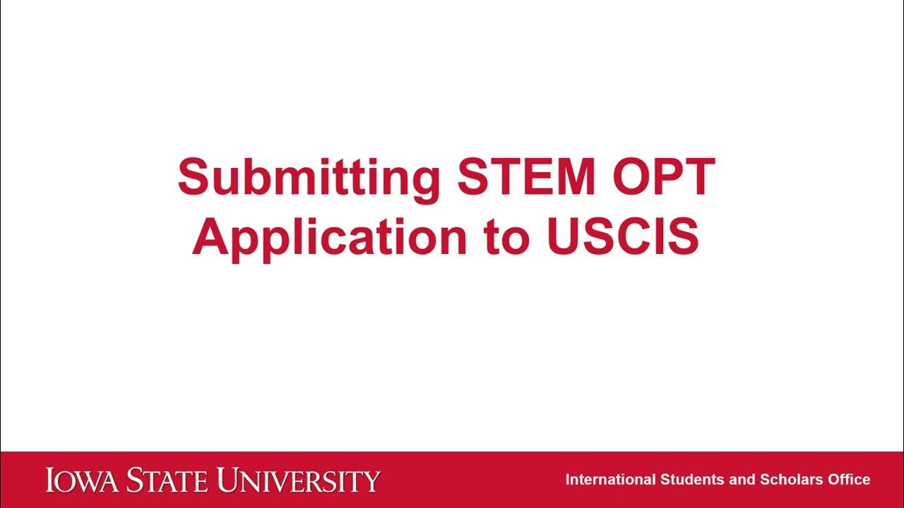 STEM OPT Module 4 YouTube stem-opt-module-4-youtube