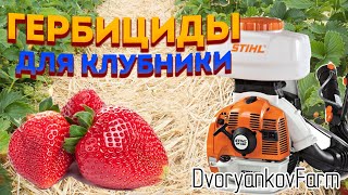 Гербициды для клубники. Основы