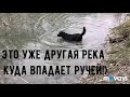 Первое видео!)