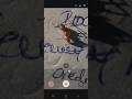 Ant Capturing in 10x Zoom in Samsung Mobile | Testing Camera Zooming performance