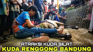 Kuda renggong 2021 - Atraksi kuda renggong bandung