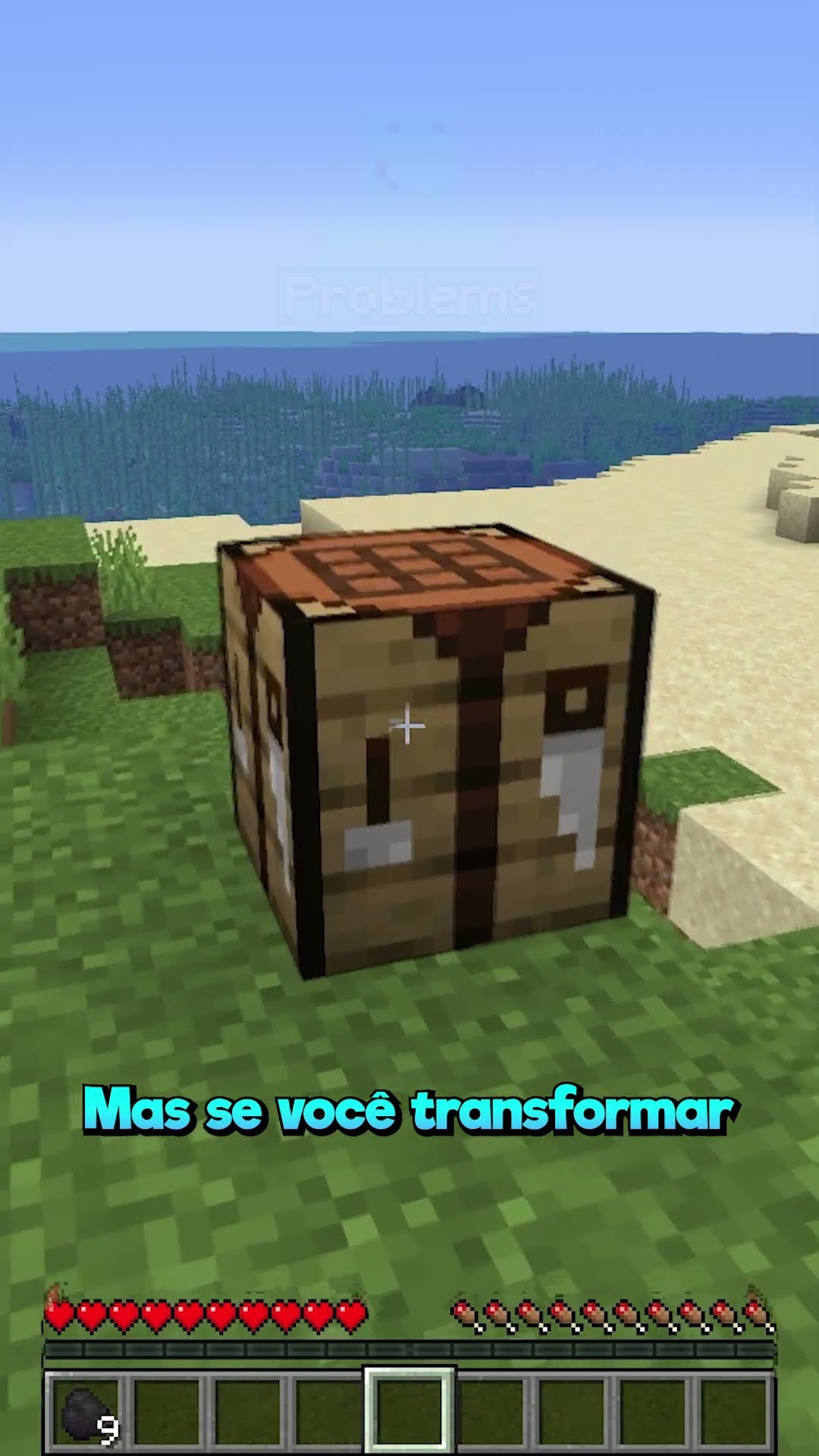 Como Assar Itens Corretamente!