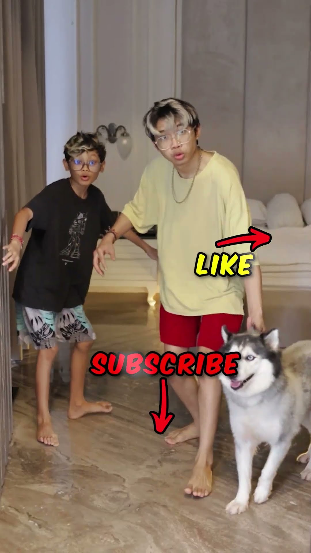 Lion Vs Dog