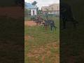 Stretching session with the player's#football