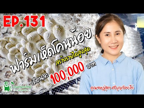 ฟาร์มเพาะเห็ดโคนน้อย สร้างสร้างรายได้สูงสุด 100,000 บาท/เดือน l เกษตรกรไทย สร้างรายได้ Ep131