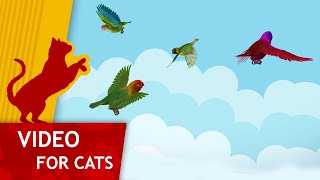 Game for your Cat    Toy Birds (Video for Cats to watch) 4K