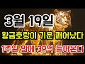 💸바로 재생하고 황금호랑이 기운 가지세요. 1주일 안에 큰돈 굴러들어옵니다🐷💰 #로또당첨 #복권당첨 #행운음악 #불교음악 #소원성취
