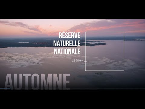 Les sels de déglaçage perturbent les lacs et le milieu naturel