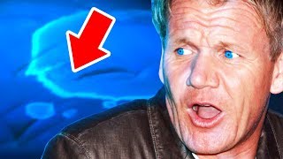 Top 10 Gordon Ramsay Memorable Moments on Hotel Hell