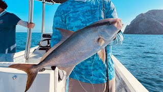 Pesca de Medregales y Dorados en el Farallón