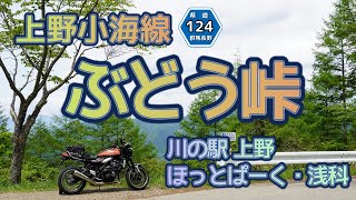 [バイク旅#106]群馬長野県境「ぶどう峠」を走ってきました　国道299号もいいけど上野小海線(県道124号)もおすすめ　川の駅上野やほっとぱーく・浅科にも寄りました