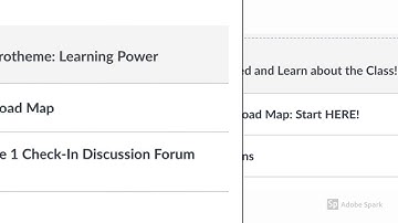 Navigating Canvas Course Video