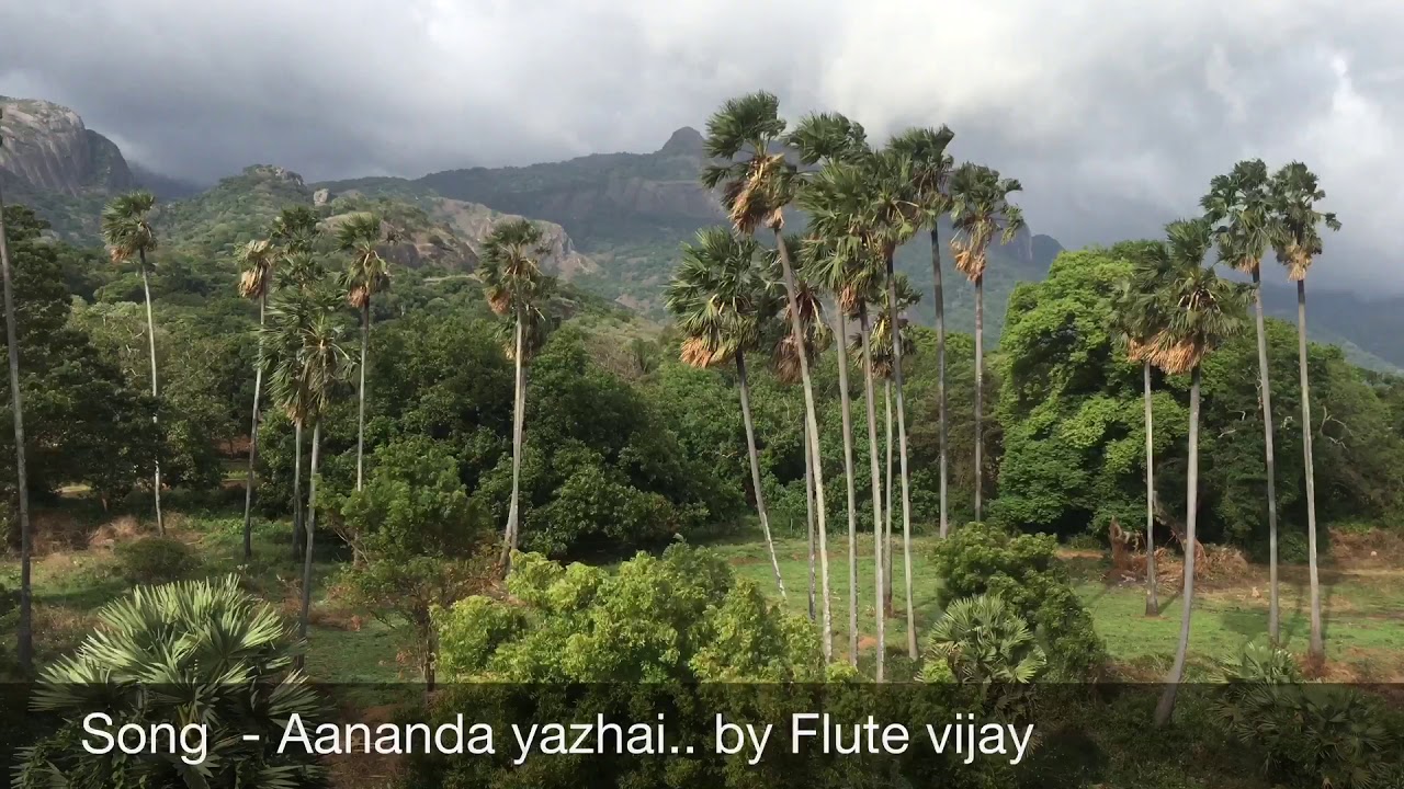 Aanandha yazhai by flute vijay