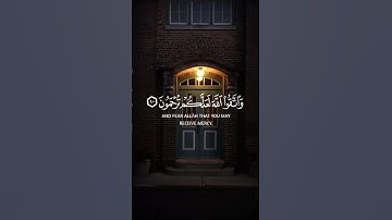 سورة الحجرات آيه{ ١٠ } #quran #المصحف #اكسبلور #راحة_نفسية #حالات_واتس #islamicfestival #duet #islam