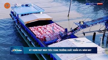 KỲ VỌNG ĐẠT MỤC TIÊU TĂNG TRƯỞNG XUẤT KHẨU 6% NĂM NAY | VTV5