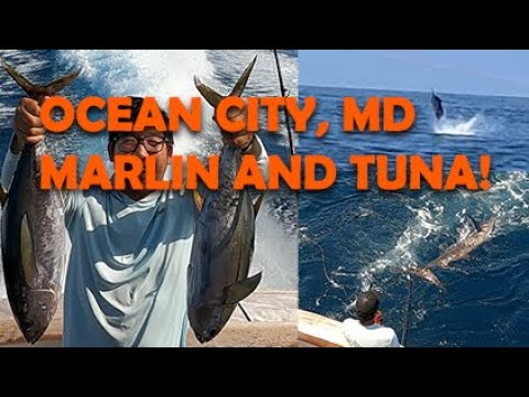 Ocean City MD, Fin Chaser Sportfishing Charter Boat (2016-06-11) 