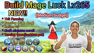 Build Mage Luk Lv265, Farming, refine, taming, craft scroll, High Damage [Toram online]