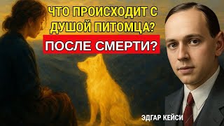 :      ?     ? |  