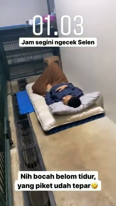 selen belum tidur,yang piket sudah tidur duluan 😂 #selen #alshadahmad #whitetiger #harimaubenggala