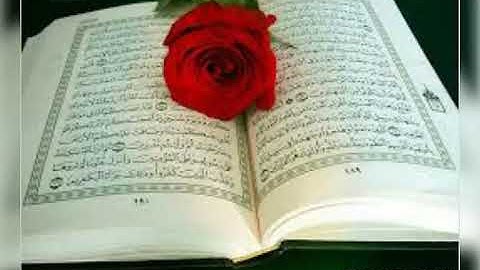 اجمل تلاوه جميله بصوت الشيخ ناظم العزي  حفظه الله