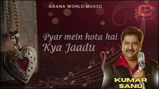 Pyar Mein Hota Hai Kya Jaadu | Kumar Sanu, Alka Yagnik | Papa Kehte Hain | 90s Romantic Hindi Song