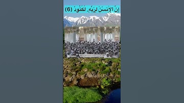 سورة العاديات للشيخ صلاح البدير