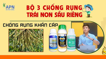 APN - BỘ 3 CHỐNG RỤNG TRÁI NON SẦU RIÊNG | CHỐNG RỤNG KHẨN CẤP