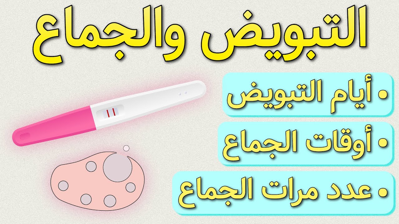 التبويض والجماع - أيام التبويض وأوقات الجماع للحمل