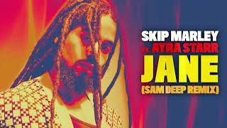 Skip Marley - Jane (Sam Deep Remix) (Visualizer)