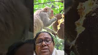 Live highlight good evening all everyone's my friends #love #subscribe #nature #live #trending