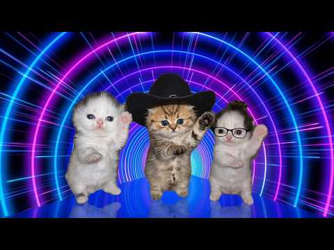 Cute Kittens Dancing - ( That Or That) (Best Part Looped + Viral Version)