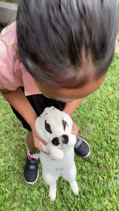 Bermain dengan siputih 😍  #dj #remix #trending #funny #shotrs
