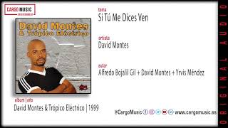 David Montes - Si Tú Me Dices Ven (David Montes & Trópico Eléctrico 1999)[official audio + letra]