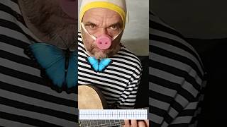 Ритмический катарсис