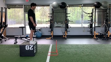 Depth Drop to Hurdle Hop