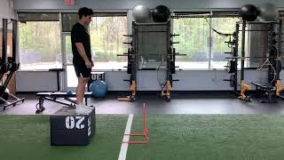 Depth Drop to Hurdle Hop