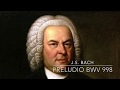 Preludio BWV 998 - J. S. Bach