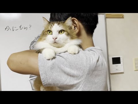 抱っこされて迷惑そうな顔をする猫ですが・・・