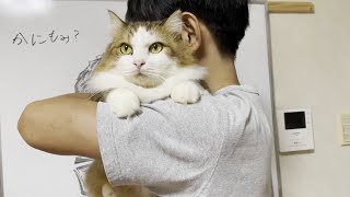 My cat looks annoyed when Dad hugs him.