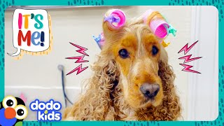 Let&#39;s Give This Pup&#39;s Hair A Makeover! | Dodo Kids | It&#39;s Me!