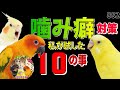 鳥・インコがなぜ噛む？理由と対策・しつけ方法｜噛み癖 動画882 What to Do If a Bird Bites You