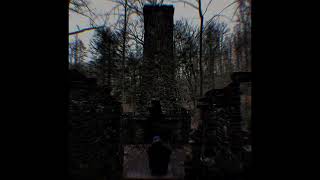 Timp - Brain In Flames Ft. Lil P Official Audio