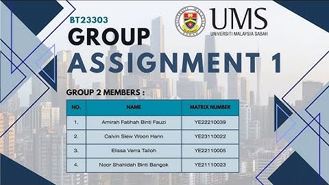 GROUP 2 - VIDEO PRESENTATION FOR GROUP ASSIGNMENT 1 (UMSFLEC-BT23303)