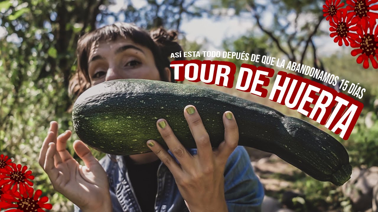 👩‍🌾 TOUR DE HUERTA DESPUÉS DE 15 DÍAS DE ABANDONO | Frutos, perdidas y un montón de laburo
