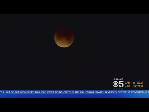Super Blue Blood Moon Eclipse Dazzles Bay Area Sky Watchers