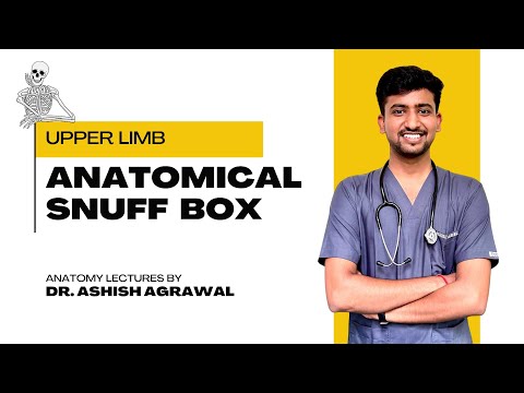 Anatomical Snuff box || Upper Limb Anatomy || First Year MBBS || Anatomy lectures by Ashish