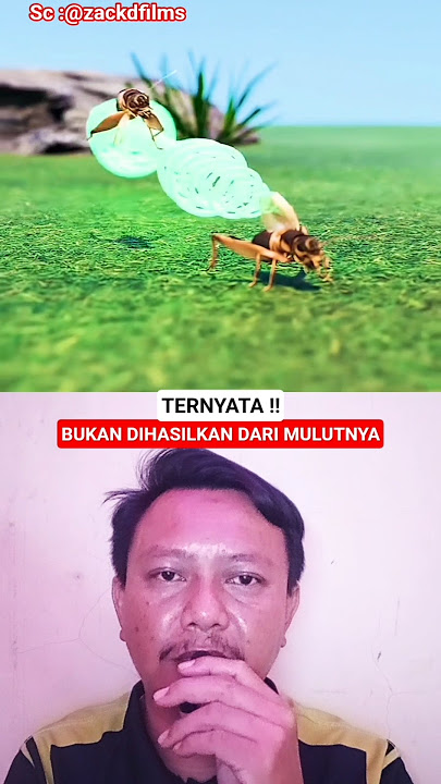The origin of the cricket sound is actually #shorts