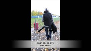 ECHO Leaf Vac2 Mark Thomas
