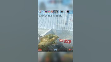 Made Friends With T | #cs2  #counterstrike  #csgo #ha1keray #bhop #edgebugs #movement #nuke  #edit