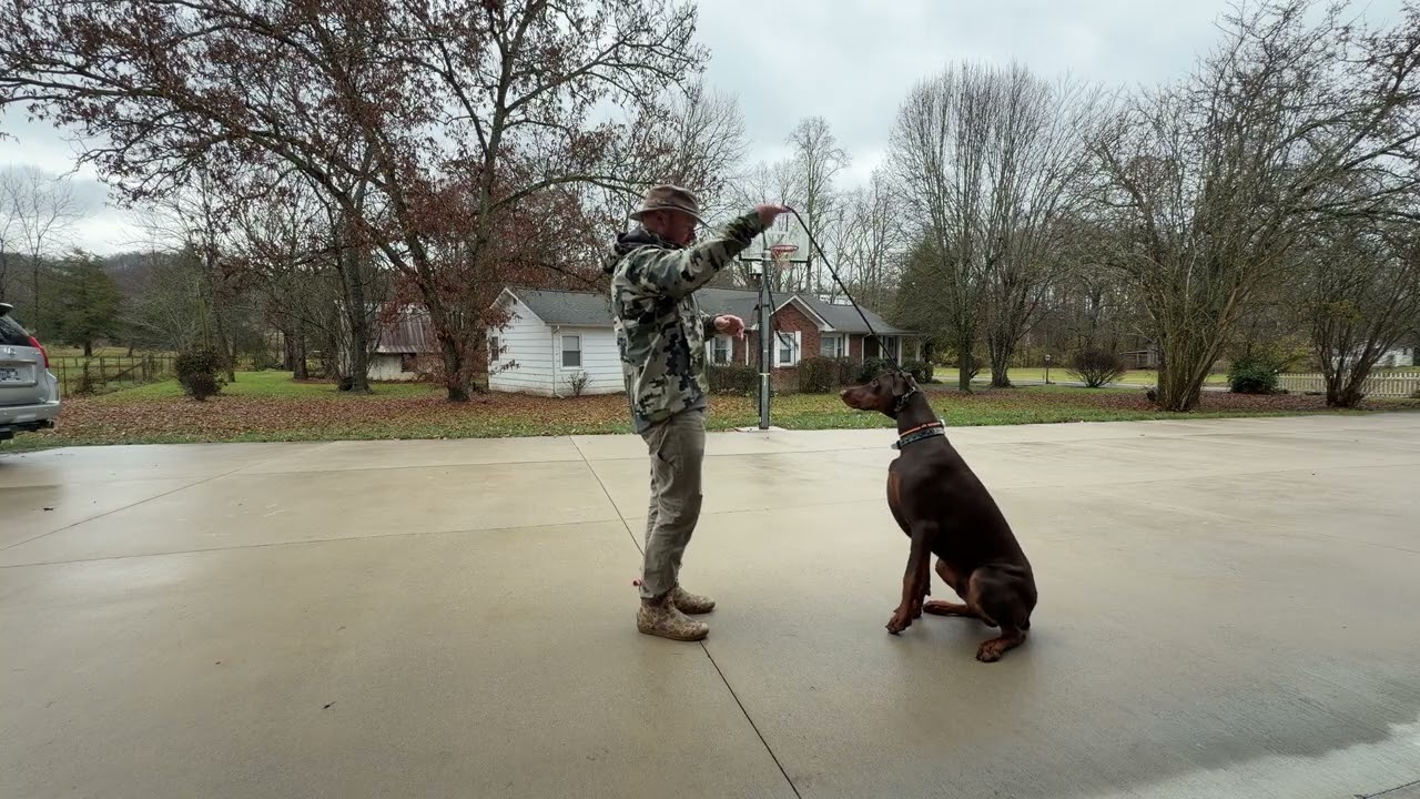 Diesel Day 1- Intro to slip lead; solid sit